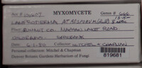 Image Associated With the Occurence